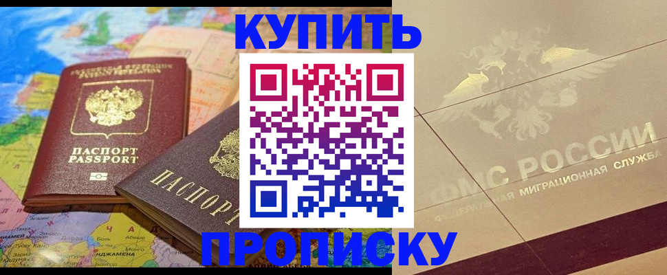 прописка поиск в Котово